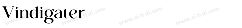 Vindigater字体转换