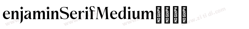 enjaminSerifMedium字体转换