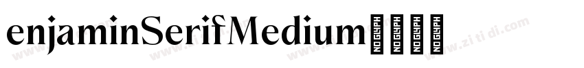enjaminSerifMedium字体转换