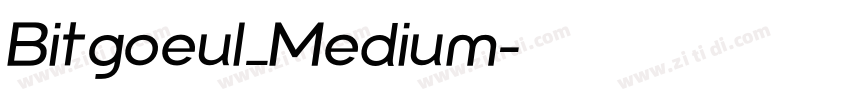 Bitgoeul_Medium字体转换