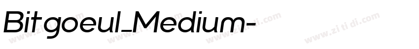 Bitgoeul_Medium字体转换