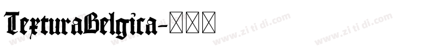 TexturaBelgica字体转换 TexturaBelgica字体转换