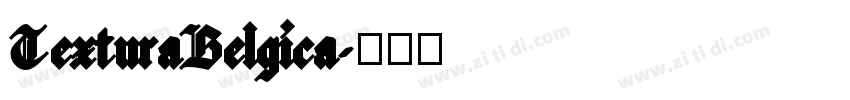 TexturaBelgica字体转换 TexturaBelgica字体转换