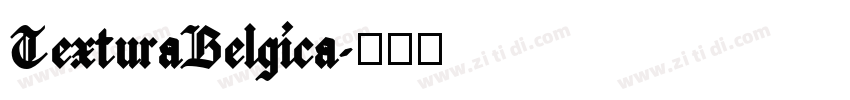 TexturaBelgica字体转换 TexturaBelgica字体转换