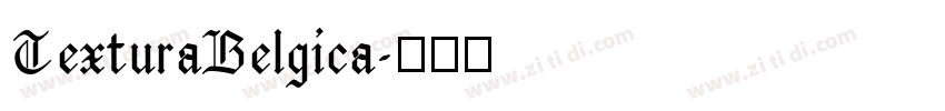 TexturaBelgica字体转换 TexturaBelgica字体转换