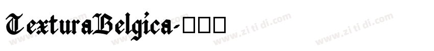 TexturaBelgica字体转换 TexturaBelgica字体转换