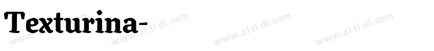 Texturina字体转换