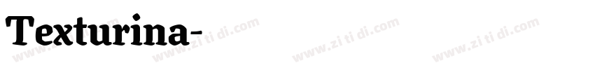 Texturina字体转换