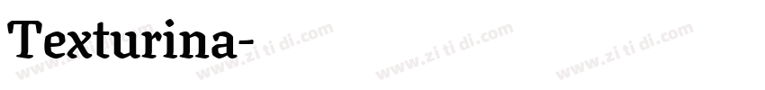 Texturina字体转换