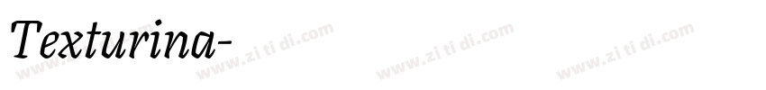 Texturina字体转换