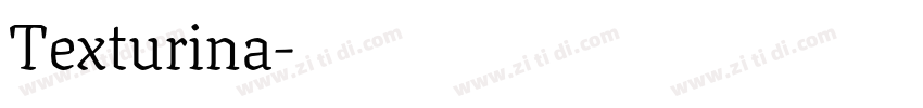 Texturina字体转换