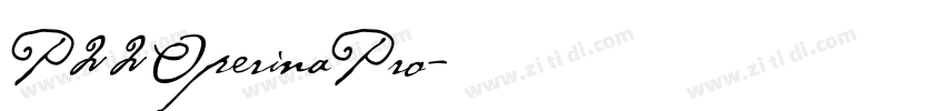 P22OperinaPro字体转换