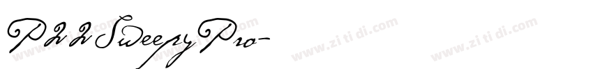 P22SweepyPro字体转换