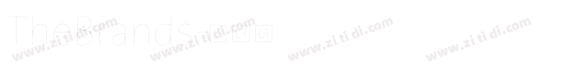 TheBrands字体转换 TheBrands字体转换