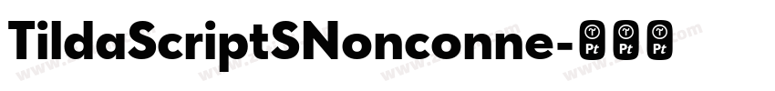 TildaScriptSNonconne字体转换