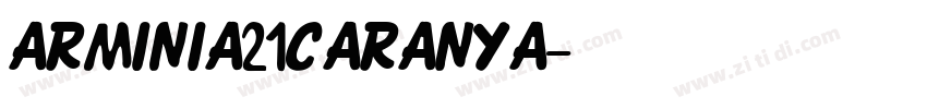 ARMINIA21caranya字体转换
