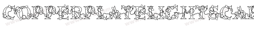 CopperplateLightSCap字体转换