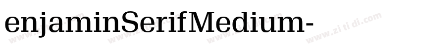 enjaminSerifMedium字体转换