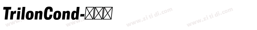 TrilonCond字体转换