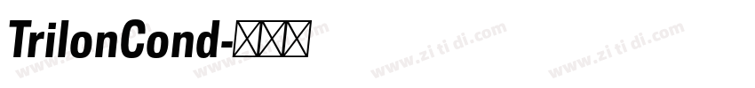 TrilonCond字体转换