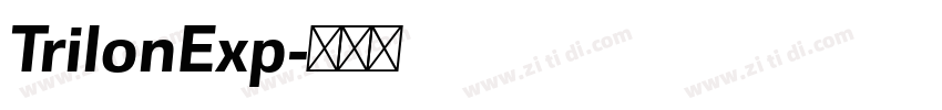 TrilonExp字体转换 TrilonExp字体转换