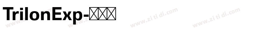 TrilonExp字体转换 TrilonExp字体转换