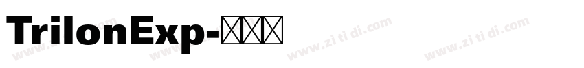 TrilonExp字体转换 TrilonExp字体转换