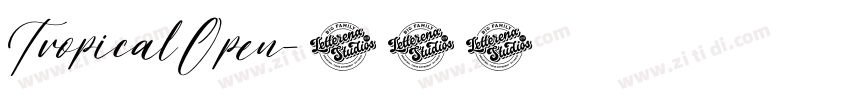 TropicalOpen字体转换