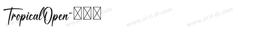 TropicalOpen字体转换
