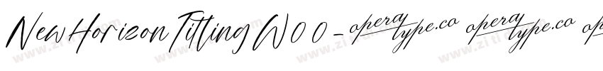 NewHorizonTitlingW00字体转换 NewHorizonTitlingW00字体转换