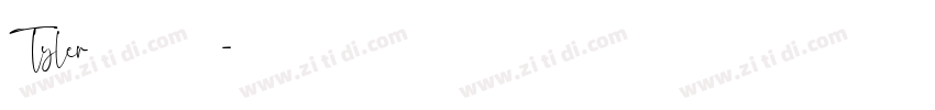 Tyler手写风格艺术字体字体转换