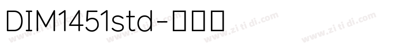DIM1451std字体转换