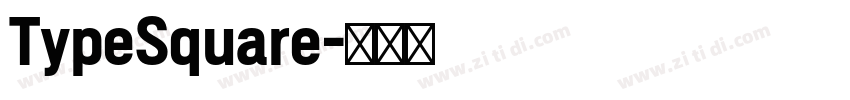 TypeSquare字体转换