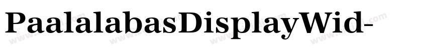 PaalalabasDisplayWid字体转换