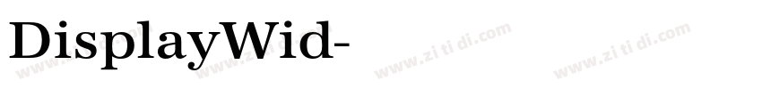 DisplayWid字体转换