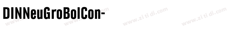 DINNeuGroBolCon字体转换