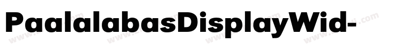 PaalalabasDisplayWid字体转换