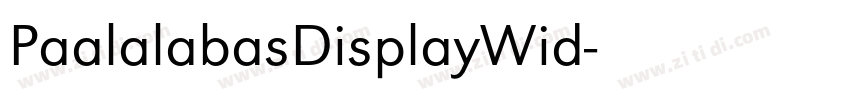 PaalalabasDisplayWid字体转换