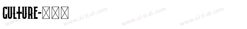 culture字体转换