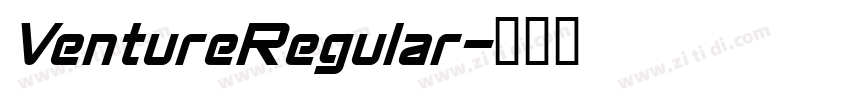 VentureRegular字体转换 VentureRegular字体转换