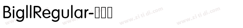 BigllRegular字体转换 BigllRegular字体转换