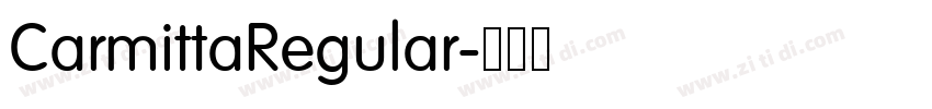 CarmittaRegular字体转换 CarmittaRegular字体转换