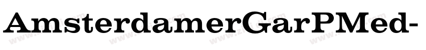 AmsterdamerGarPMed字体转换