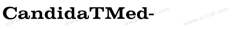 CandidaTMed字体转换