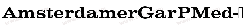 AmsterdamerGarPMed字体转换