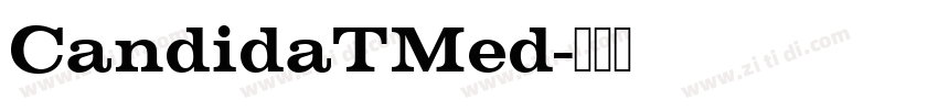 CandidaTMed字体转换