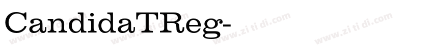 CandidaTReg字体转换