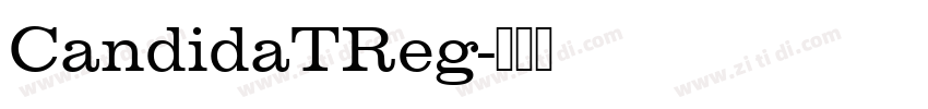 CandidaTReg字体转换