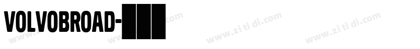 VolvoBroad字体转换