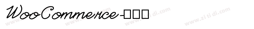 WooCommerce字体转换